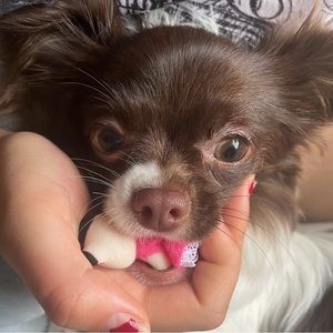 Meet your Posher, Christina